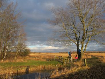 Omgeving Lauwersmeer Friesland