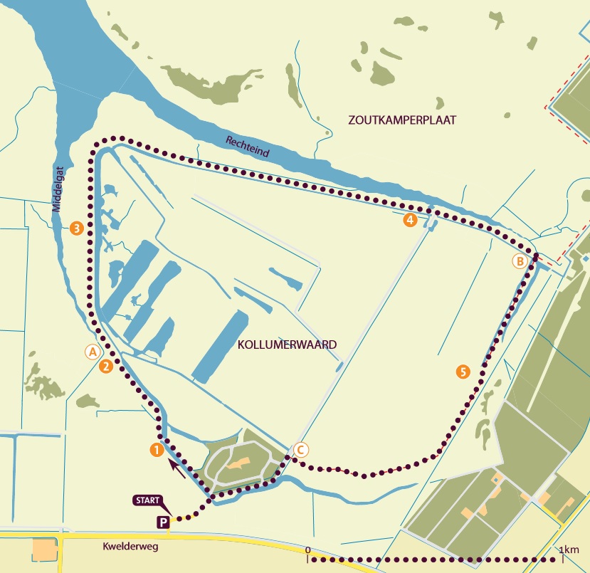 Wandelroute Kollumerwaard Lauwersmeer Friesland