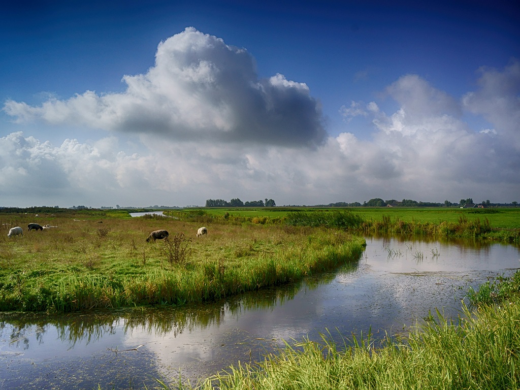 uitzicht vanaf de terp