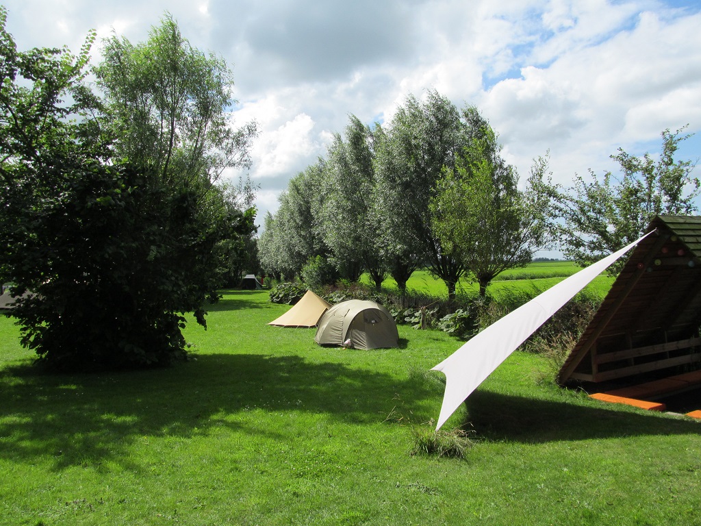 Camping zwischen Lämmer