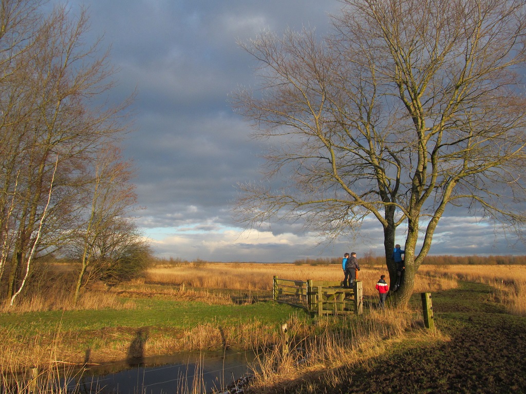 Nationaal Park Lauwersmeer