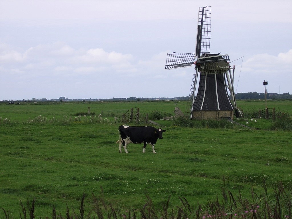 Friese molen Lauwersmeer