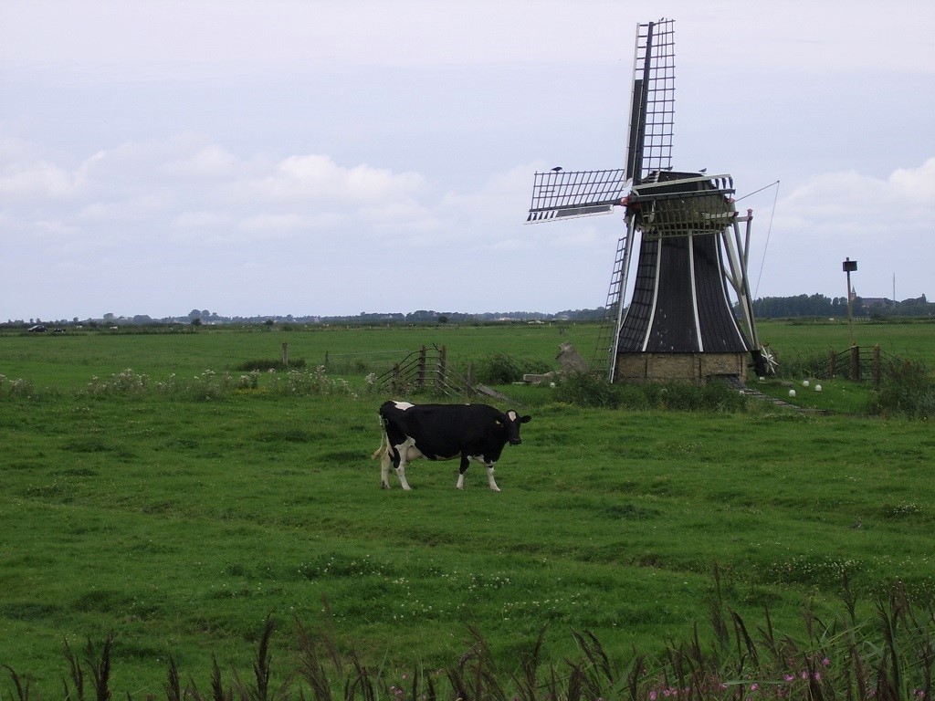 Frisian wind mill Lauwersmeer