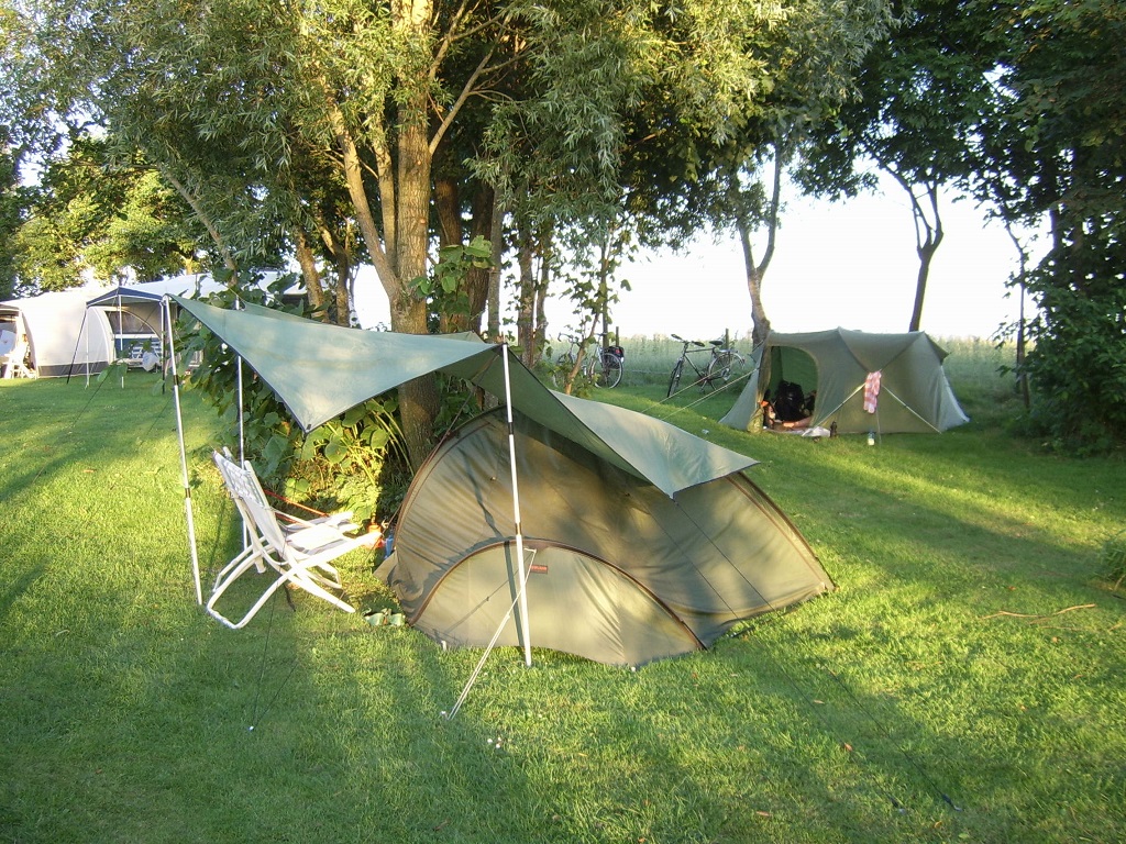 cosy under the trees