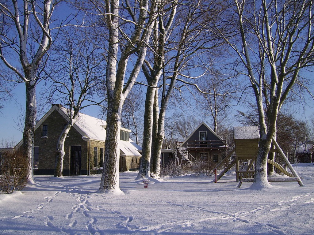 großer Garten im winter