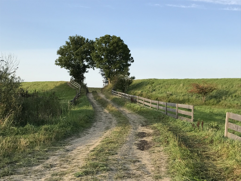 dike Lauwersmeer