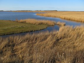 Kanal unter dem Lauwersmeer Friesland Niederlande