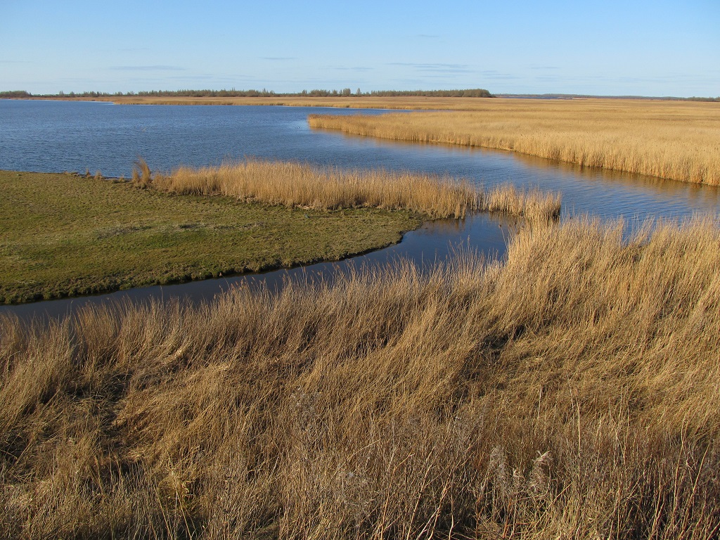 slenk onder Lauwersmeer