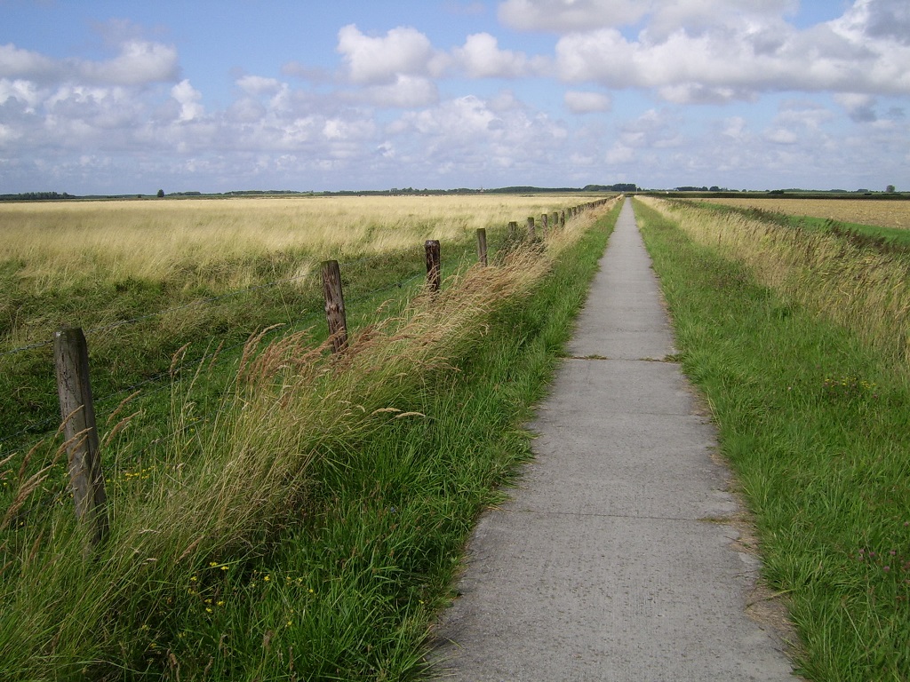 mit dem Fahrrad durch den National Park Lauwersmeer