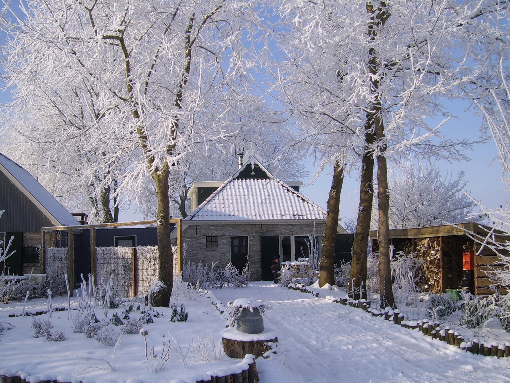 vorne Ferienhaus im winter