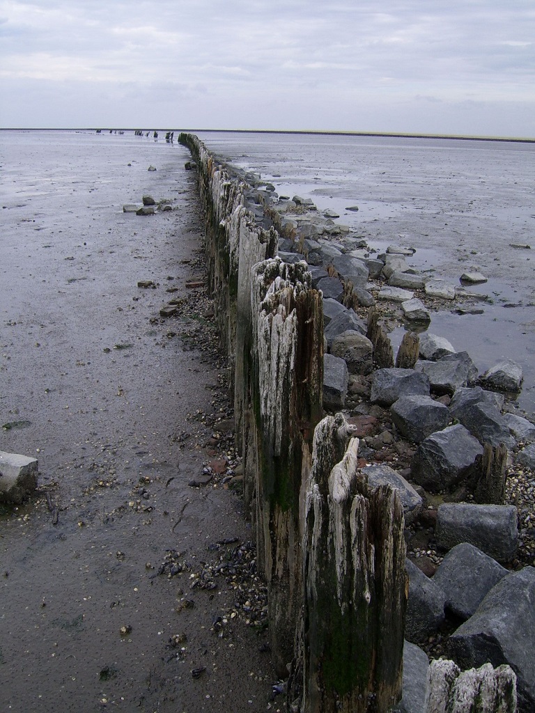 Unesco Welterbe Wattenmeer