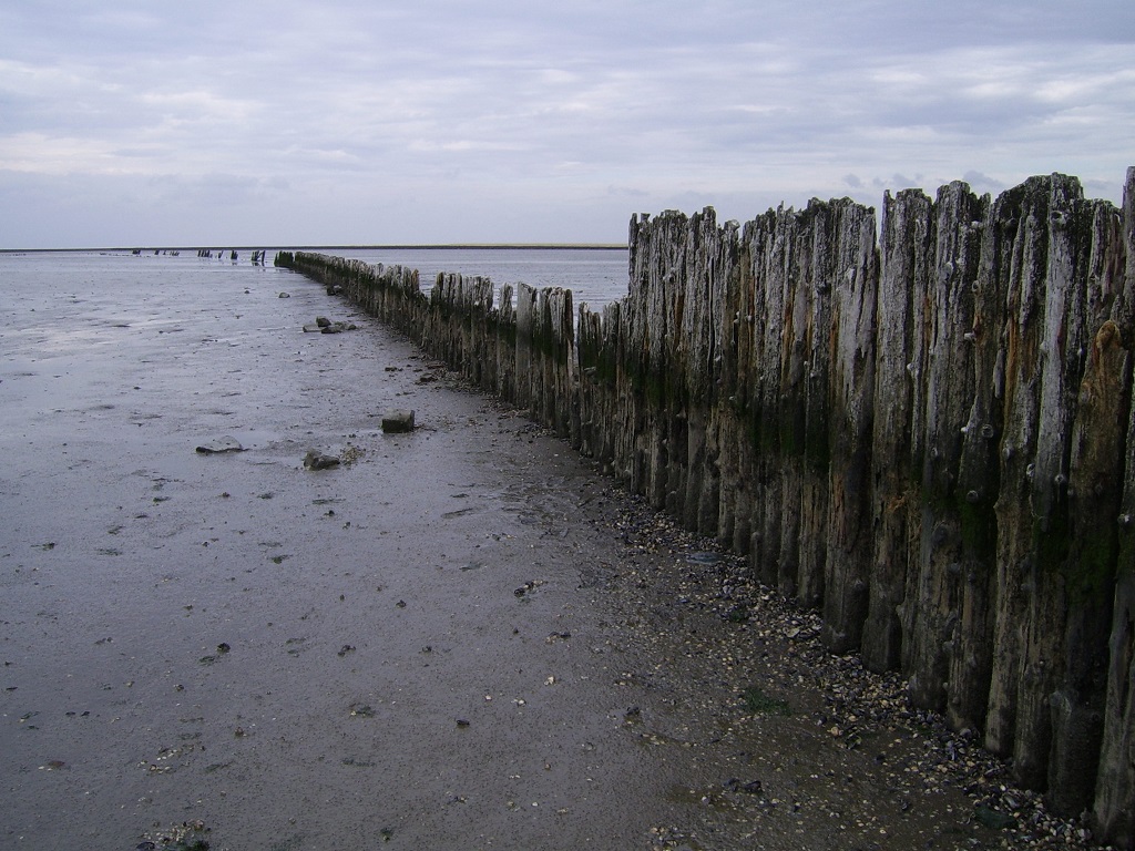 Unesco werelderfgoed de Waddenzee