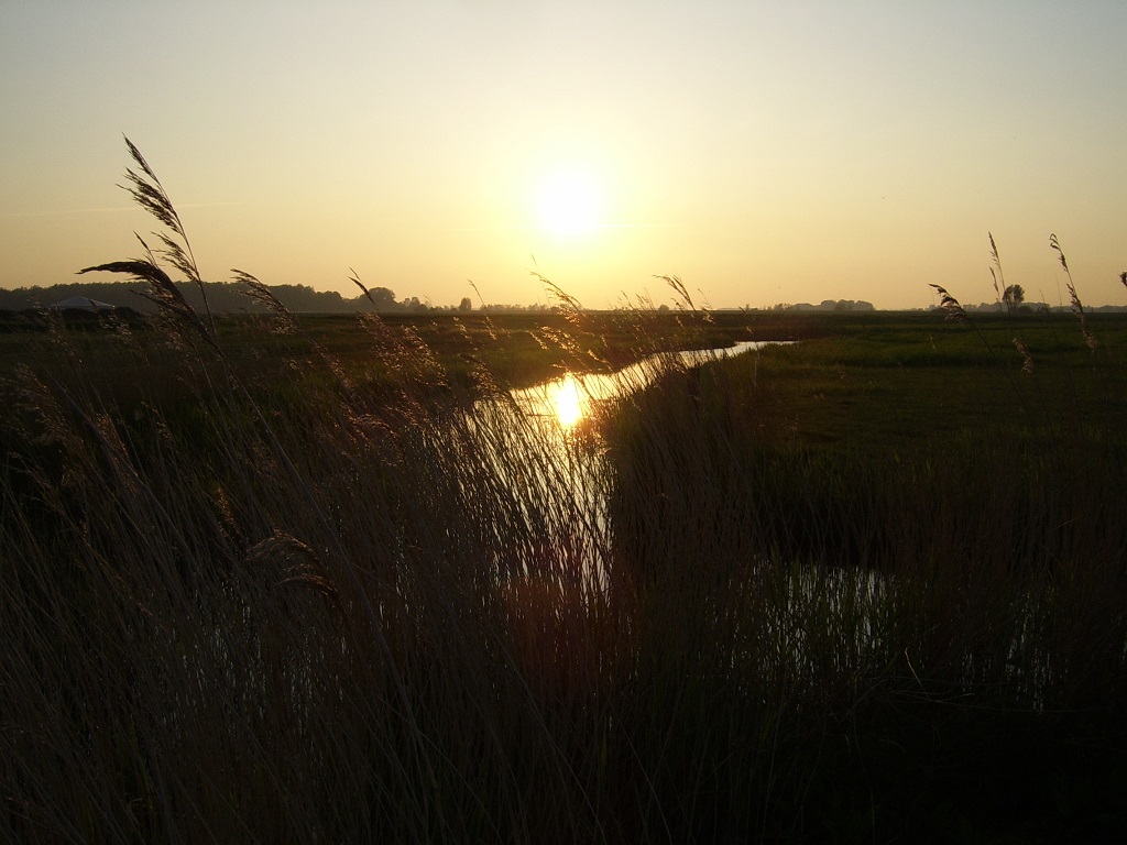 Sonnenuntergang vom Campingplatz