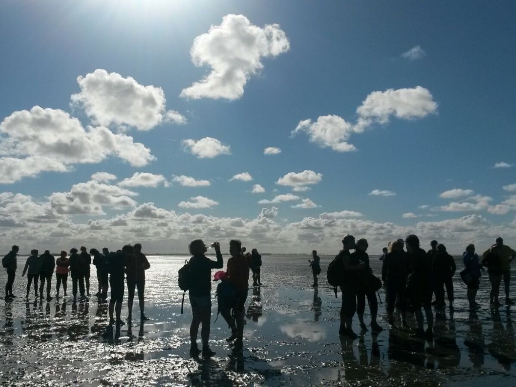 walking through the mudflats from it Dreamlân