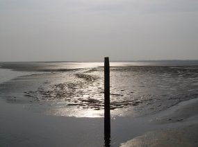 the Wadden Sea Friesland Netherlands