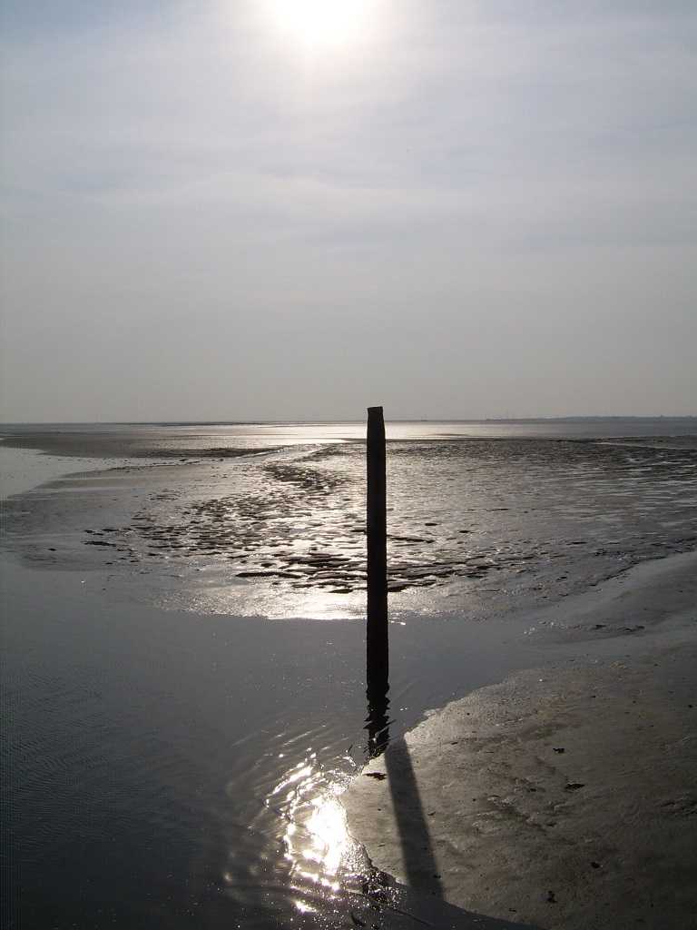 het drooggevallen wad