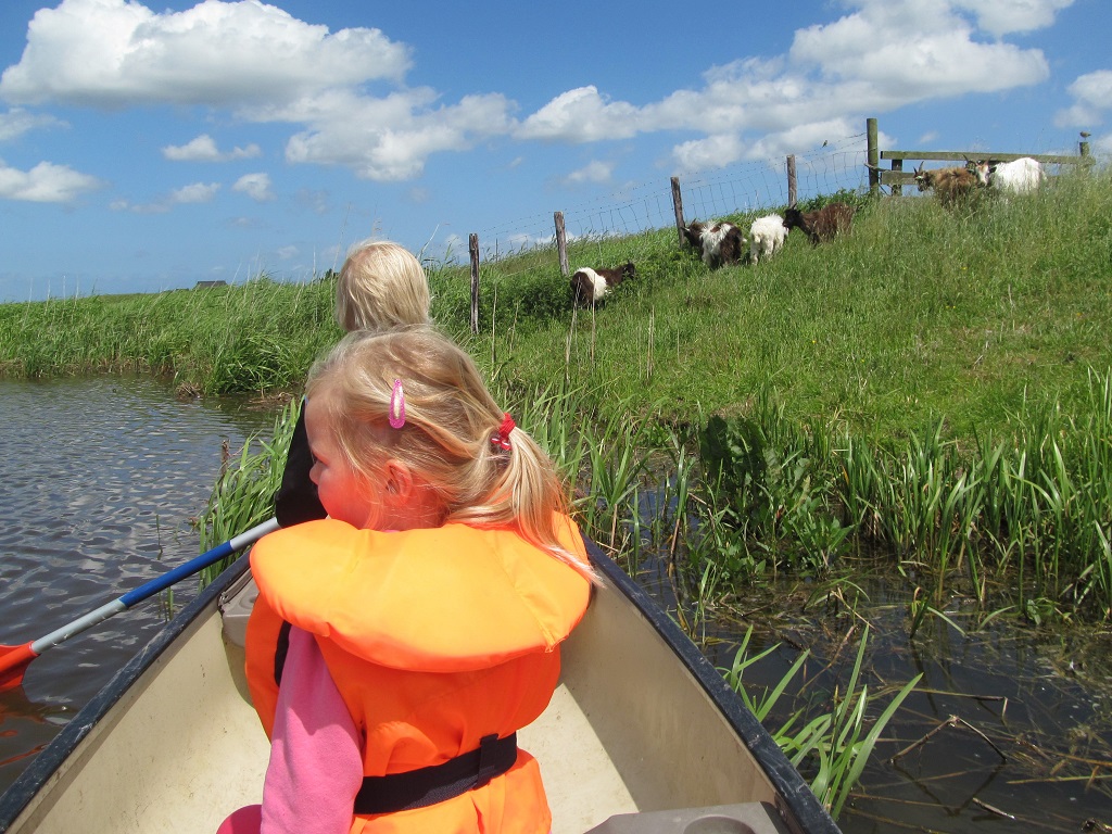 canoeing between the cows, sheeps and birds