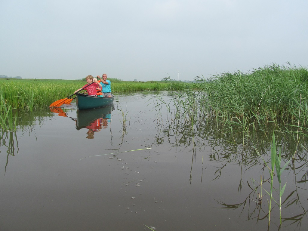 kanoën door het riet