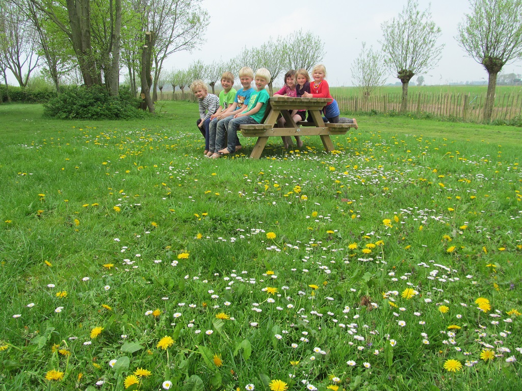 between the meadow flowers