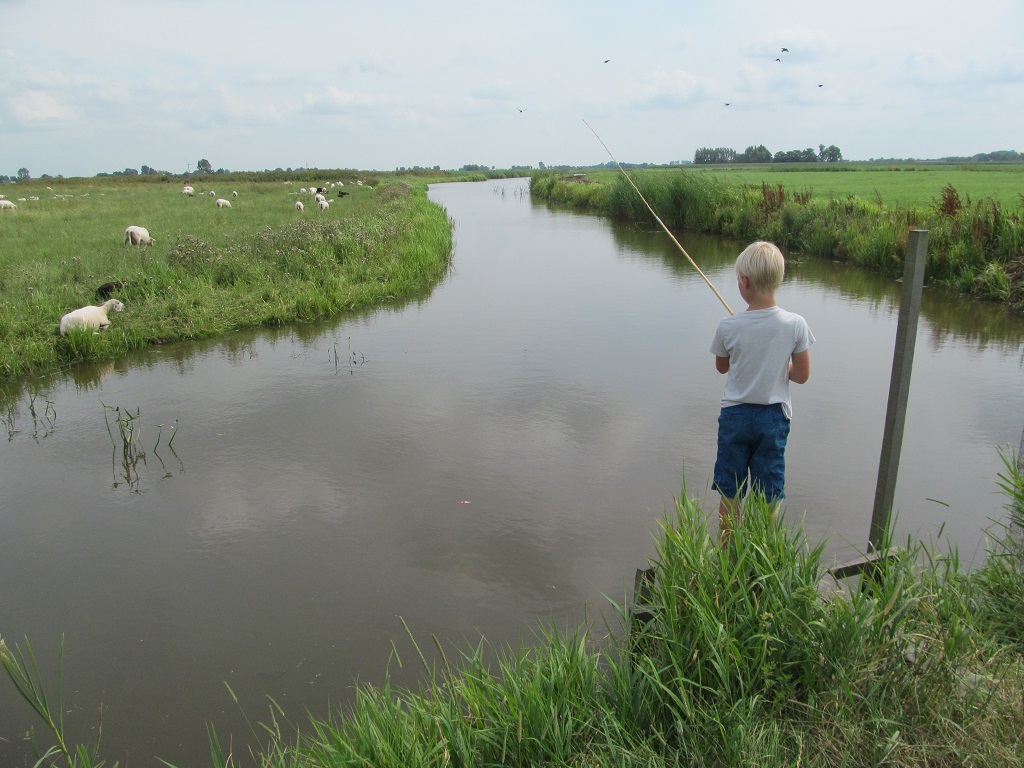 Fischen an der Pier