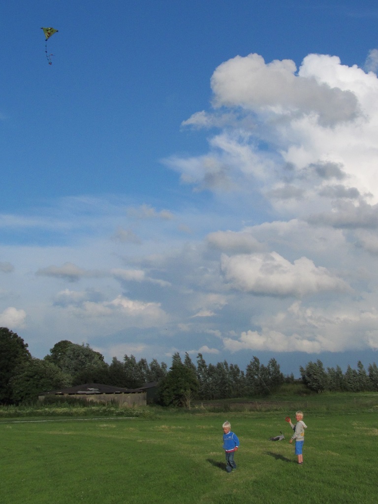 kite flying on the terp