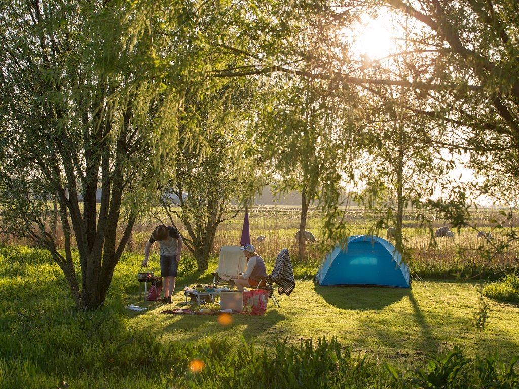 tent in the fields