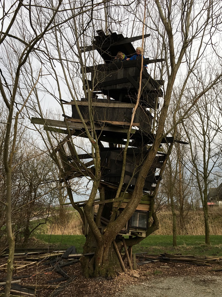 constructing a tree house