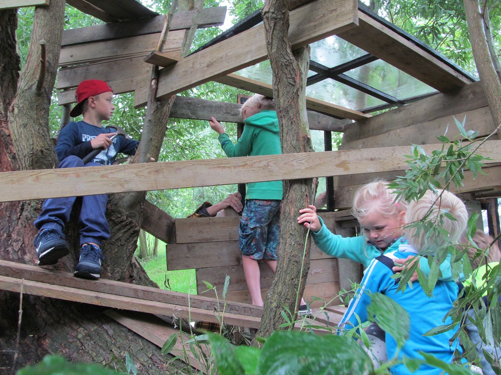 climbing the tree house