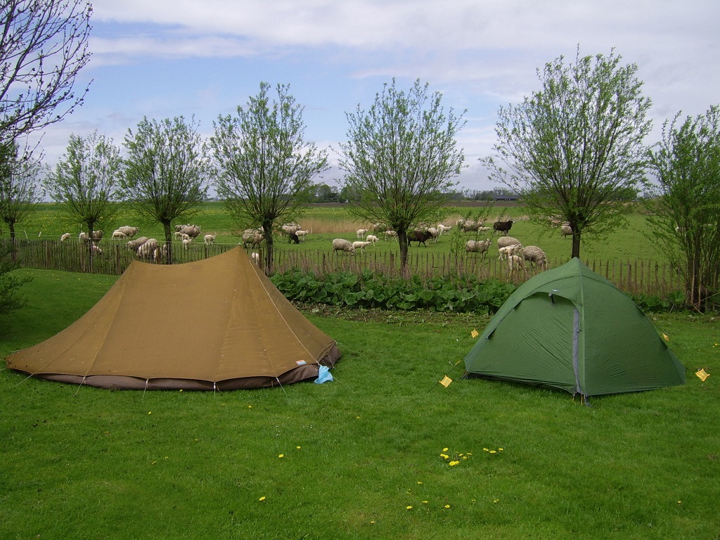 tents along the sheeps