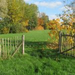 Herfst camping Friesland