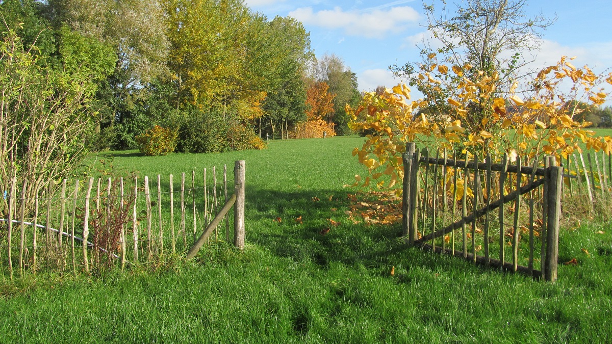 Herfst camping Friesland