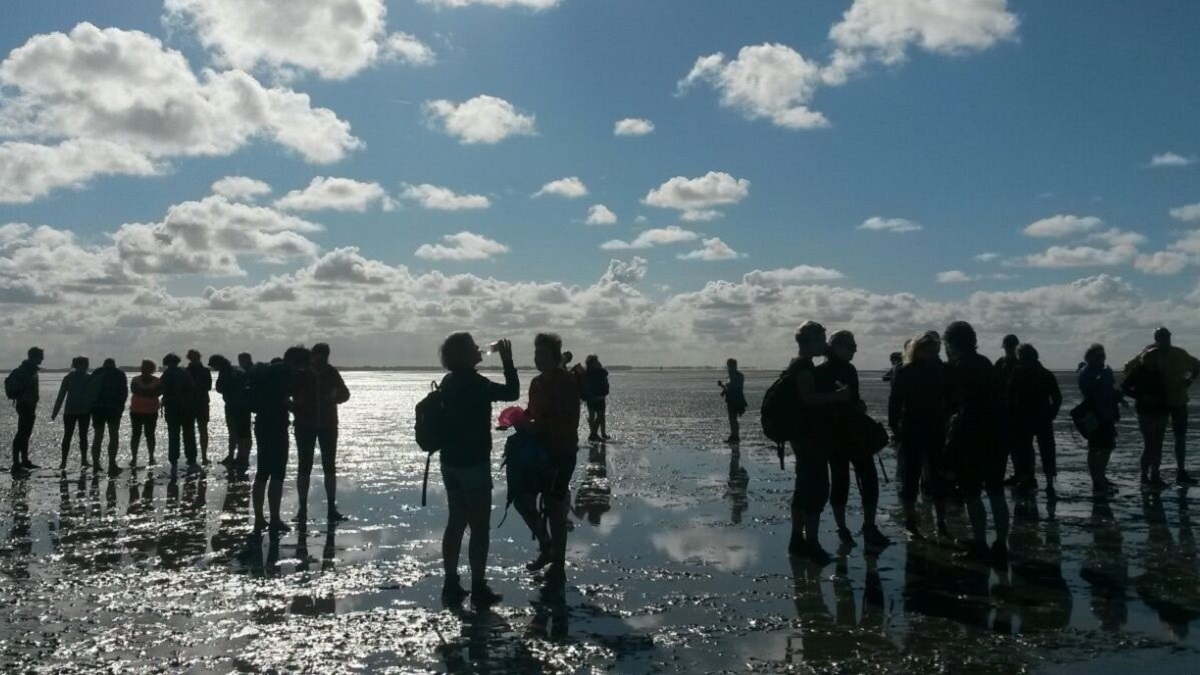 Familieweekend wadlopen Friesland