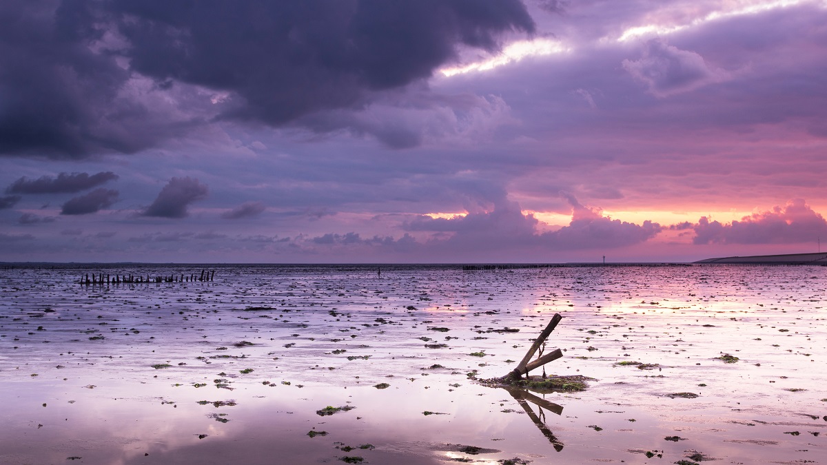 Lekker, die elementen op de Waddenzee