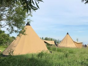 Tipitenten in het veld camping Lauwersmeer Friesland