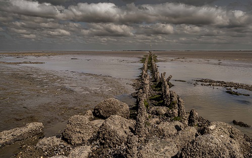 Wad Wadden Waddenzee Friesland Friesland