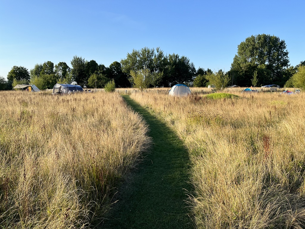 Kamperen tussen het hoge gras camping Friesland