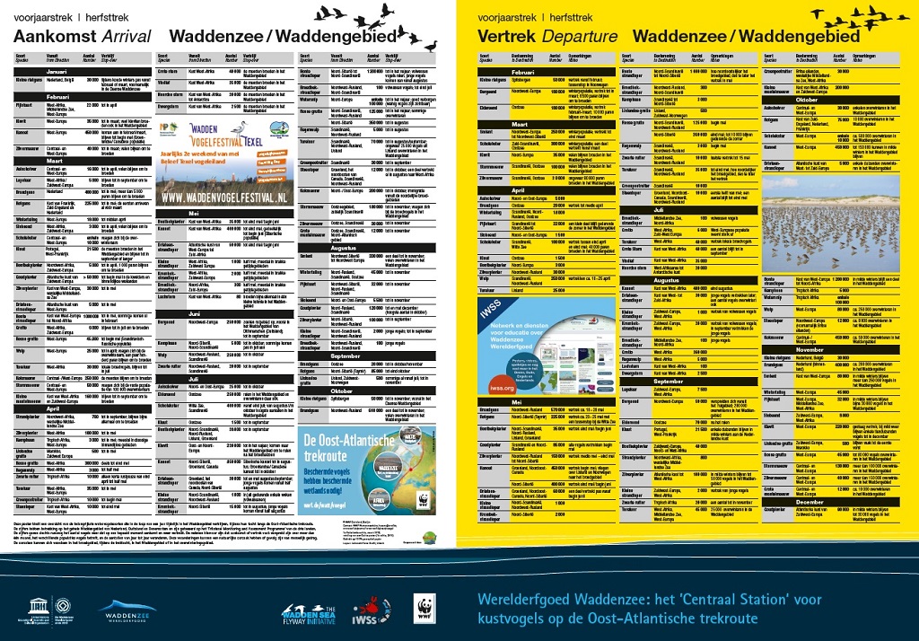 Voorjaarstrek en herfsttrek Waddenzee